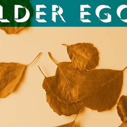 Alder Ego Iii (Orange VINYL) VINYL LP