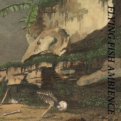 Rainforest Spiritual Enslavement Flying Fish Ambience (2Pk) Vinyl LP