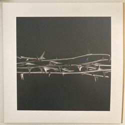 Amenra De Doorn Vinyl 2 LP