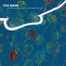 Steve Dawson (6) At The Bottom Of A Canyon In The Branches Of A Tree VINYL LP