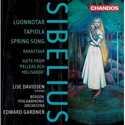 Sibelius Davidsen Gardner Orchestral Works (Hybr) 19