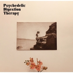 Psychedelic Digestion Therapy Psychedelic Digestion Therapy Vinyl LP