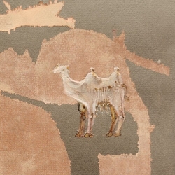 Corsano Maranha Youngs Corsano Maranha Youngs VINYL LP