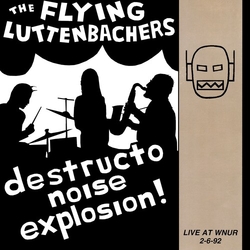 Flying Luttenbachers Live At Wnur 2-6-92 VINYL LP
