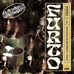 Vasconcelos Sentimento Furto Vinyl LP