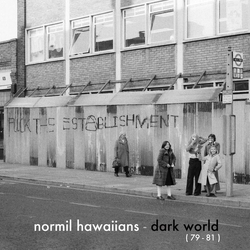 Normil Hawaiians Dark World (79-81) vinyl LP