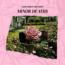 Slow Down, Molasses Minor Deaths VINYL LP