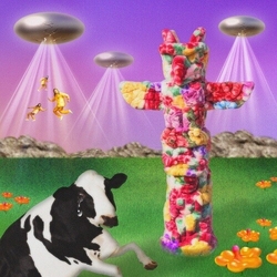 Parkgolf Totem PINK  VINYL LP