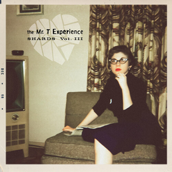 The Mr. T Experience Shards Vol 3.