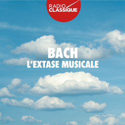 Lextase Musicale Various (3Pk) Lextase Musicale Various (3Pk) CD