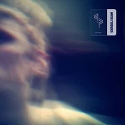 AAGYR FERBODEN Requisite Joy VINYL LP