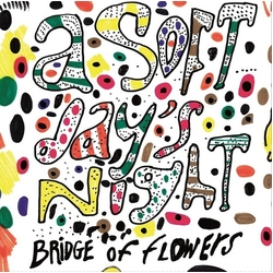 Bridge Of Flowers A Soft Day's Night Vinyl LP