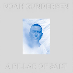 Noah Gundersen Pillar Of Salt (Wht) vinyl LP
