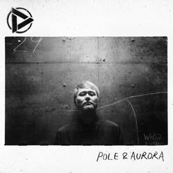 Discharming Man Pole & Aurora