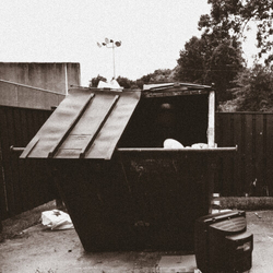 The Doppelgangaz Dumpster Dive VINYL LP