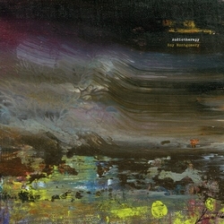 Roy Montgomery Audiotherapy vinyl LP