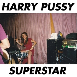 Harry Pussy Superstar Vinyl LP