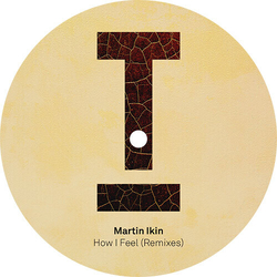 Martin Ikin How I Feel (Remixes) VINYL 12INCH