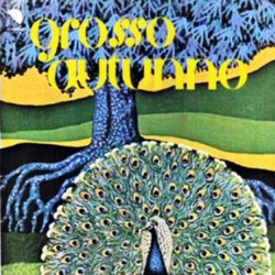 Grosso Autunno Grosso Autunno Vinyl LP