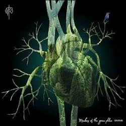 Martin Rubashov Members Of The Green Phlox VINYL LP