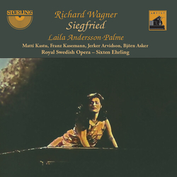 Wagner Siegfried (3Pk) CD