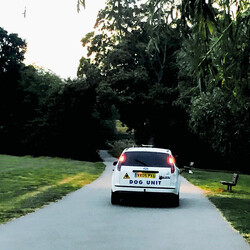 Dog Unit (3) Turn Right and Right Again Vinyl