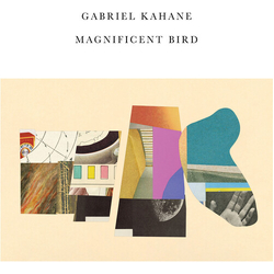Gabriel Kahane Magnificent Bird VINYL LP