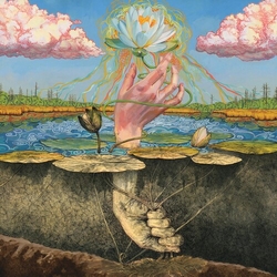 Moon Tooth Phototroph