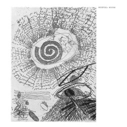 Beispiel Muster Vinyl LP
