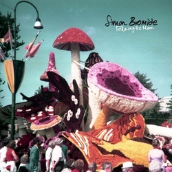 Simon Bromide / Bromide Following The Moon Vinyl LP