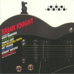 Brian Knight Dark Horse vinyl LP