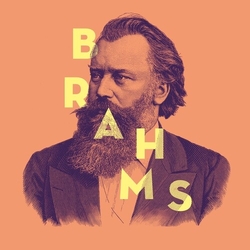 Johannes Brahms Les Chefs D'Œuvres De = The Masterpieces Of Johannes Brahms Vinyl LP