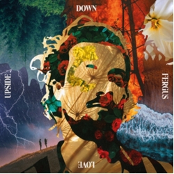 Fergus Love Upside Down VINYL LP