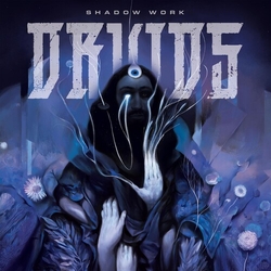 Druids Shadow Work VINYL