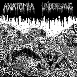 Undergang Anatomia Split VINYL LP
