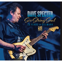 Dave Specter Six String Soul 30 Years On Delmark VINYL LP