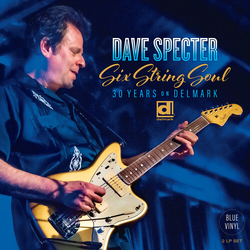 Dave Specter Six String Soul 30 Years On Delmark Blue Colored VINYL LP