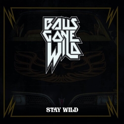 Balls Gone Wild Stay Wild VINYL LP