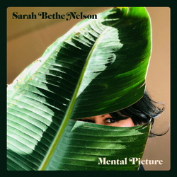 Sarah Bethe Nelson Mental Picture VINYL LP