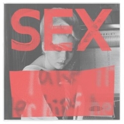 Various SEX: We Are Not In The Least Afraid Of Ruins VINYL LP