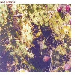 Sr Chinarro Sr Chinarro (Debut) VINYL LP