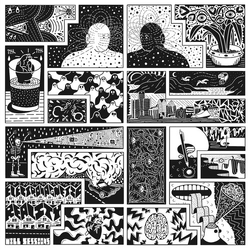 Will Sessions Electromagnetic Reality VINYL LP