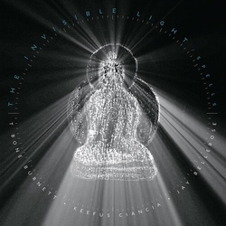 T-Bone Burnett The Invisible Light: Spells VINYL LP