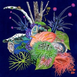 O'o (2) Touche Vinyl LP