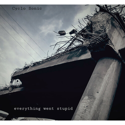 Cyclo-Sonic Everything Went Stupid VINYL LP