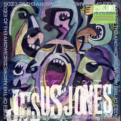 Jesus Jones Some Of The Answers CD Box Set