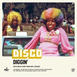 Various Disco Diggin'