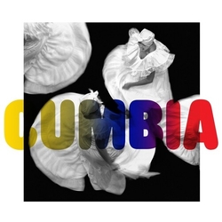 Various La Edad De Oro De La Cumbia Colombiana Vinyl LP