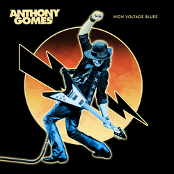 Anthony Gomes High Voltage Blues vinyl LP