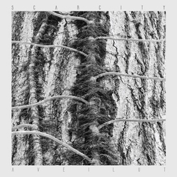 Scarcity (4) Aveilut Vinyl LP